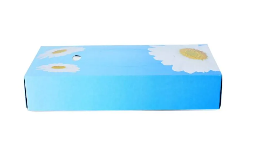Kosmetiktücher Flower Power aus natürlichem Zellstoff 100 Blatt je Box